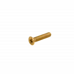 Parafuso M6x30 para Vidro elétrico | Dourado Parafuso M6x30 para Vidro elétrico | Dourado
